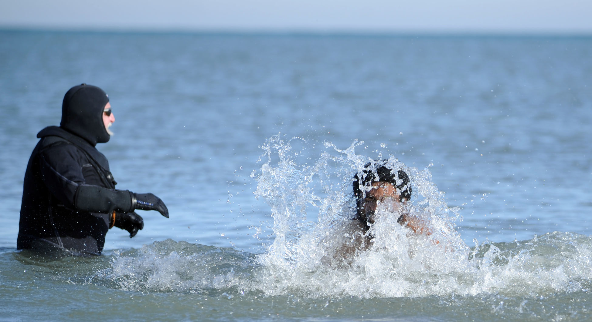 POLAR BEAR SWIM
